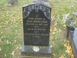 image of grave number 48343